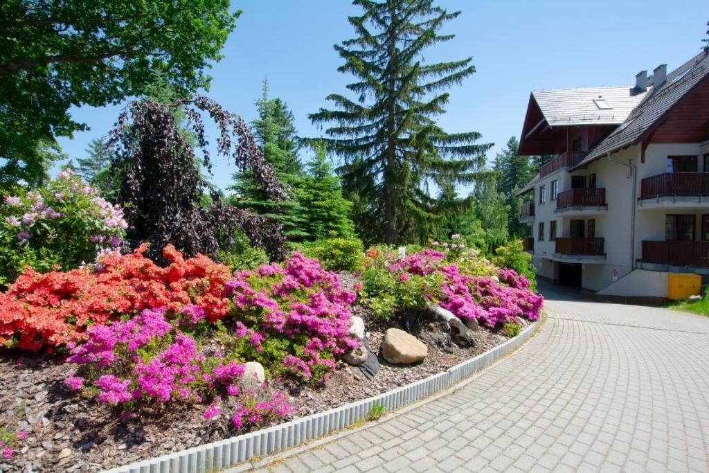 Apartament Polana-Карпач Екстериор снимка